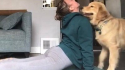 Perro haciendo yoga con su dueña